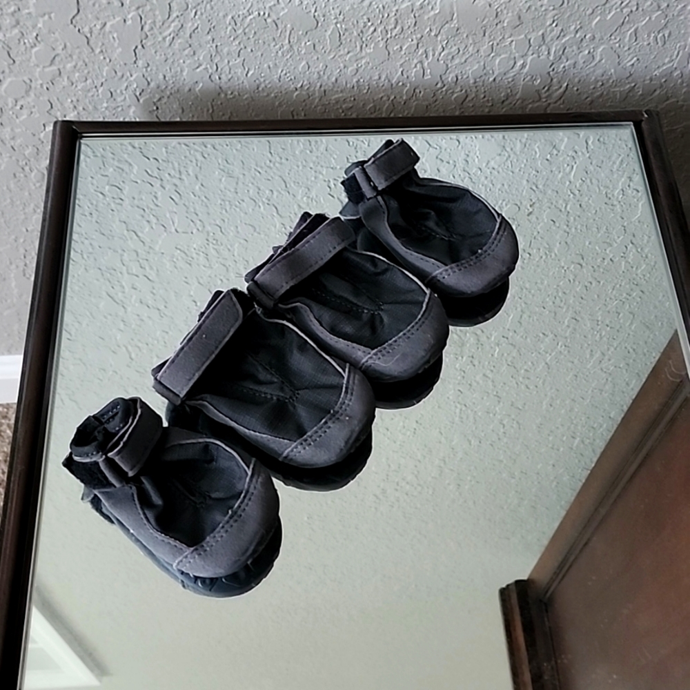 Ruffwear Dog Boots
